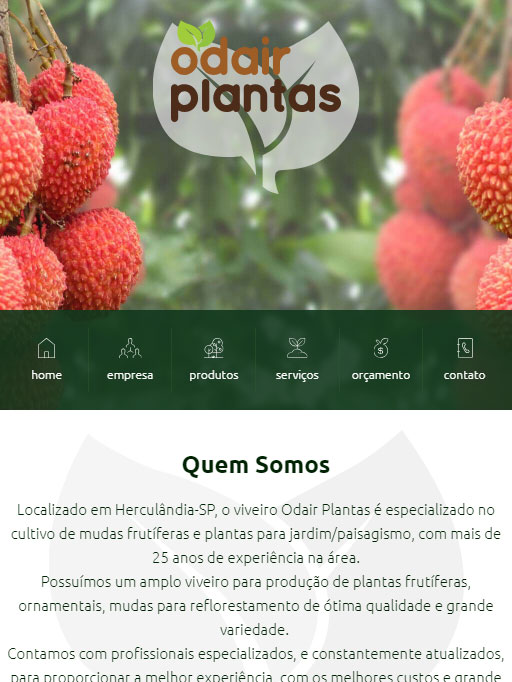 Cliente W3 Corp - Odair Plantas